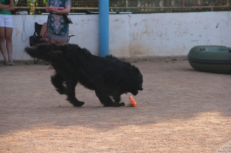 Фотография № 193882