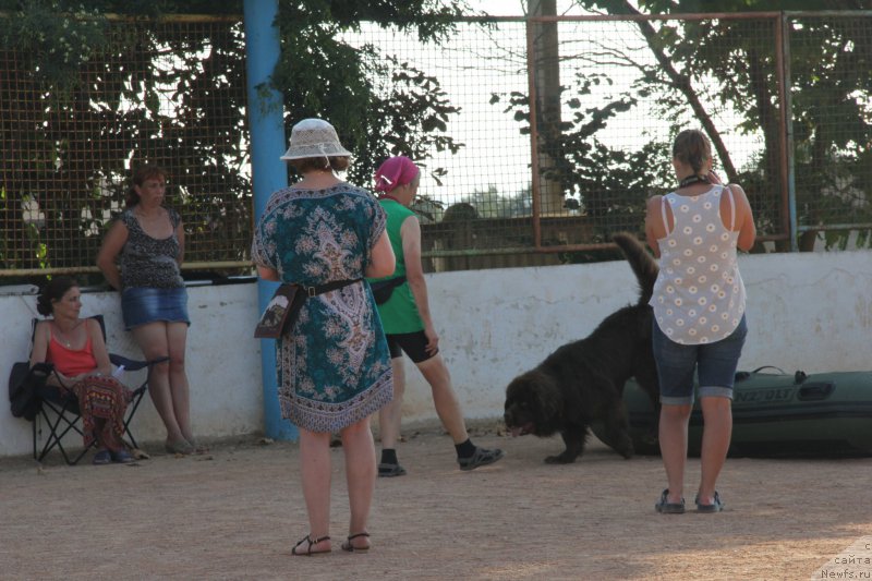 Фотография № 193885