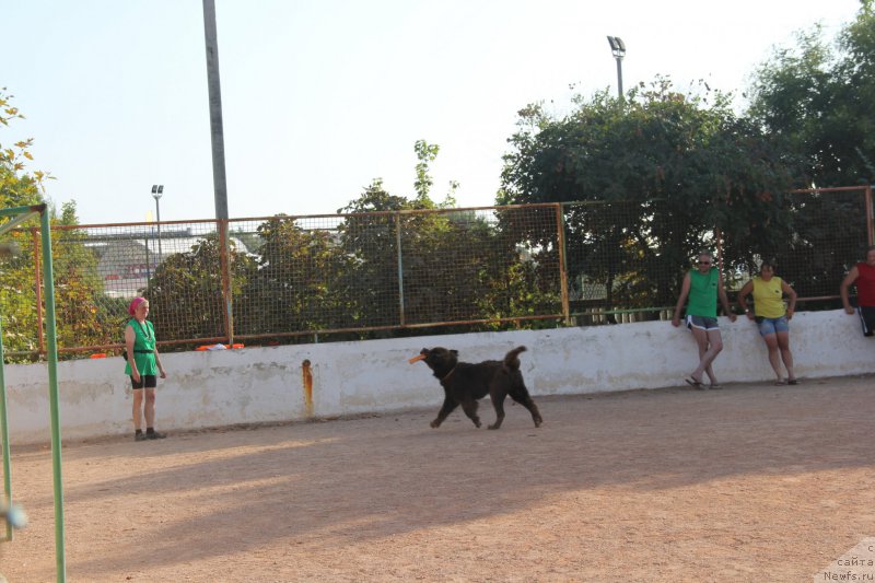 Фотография № 193886