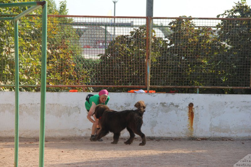 Фотография № 193887