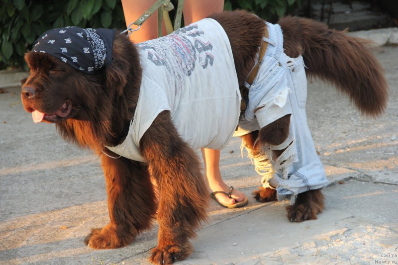 Фотография № 193895