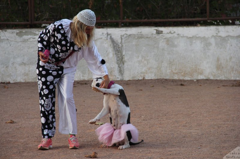 Фотография № 193904