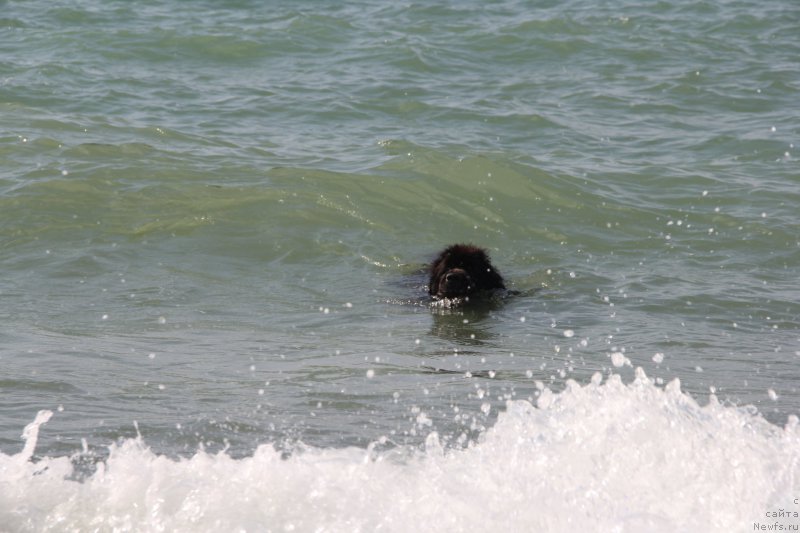 Фотография № 193908