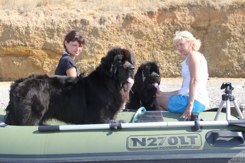 Фотография № 193914