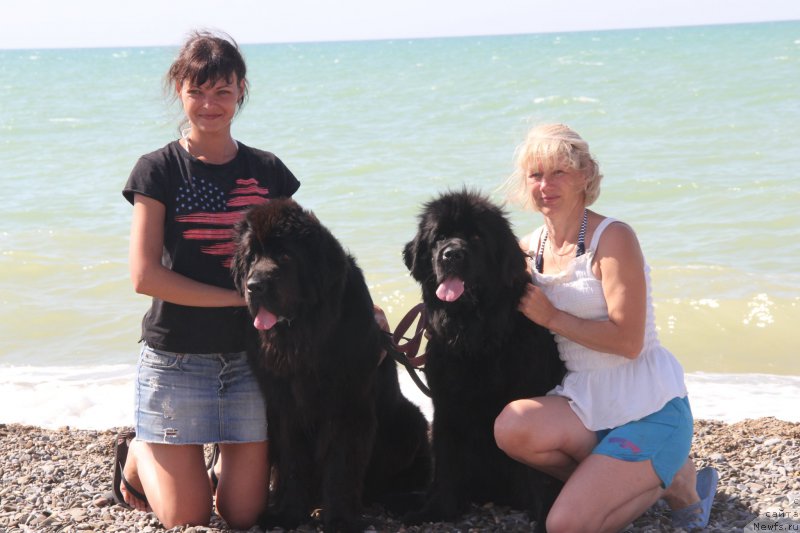 Фотография № 193916