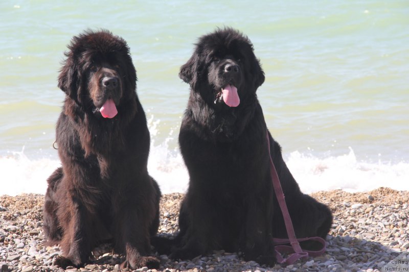 Фотография № 193918