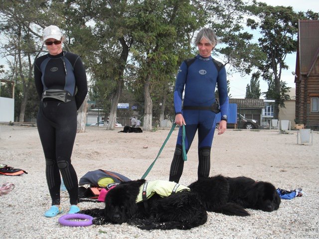 Фотография № 193922