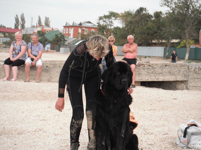 Фотография № 193923