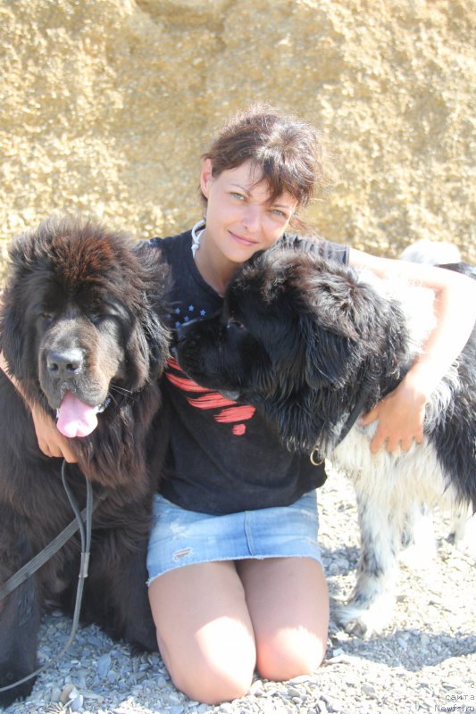 Фотография № 193924