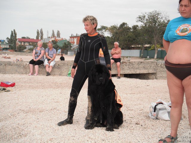 Фотография № 193925