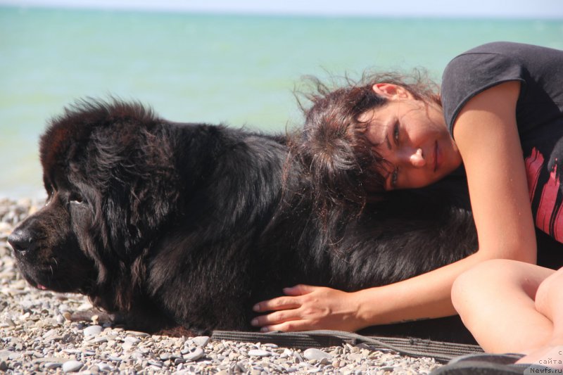 Фотография № 193930