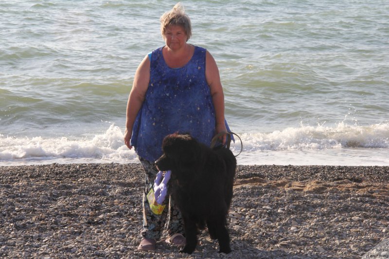 Фотография № 193944