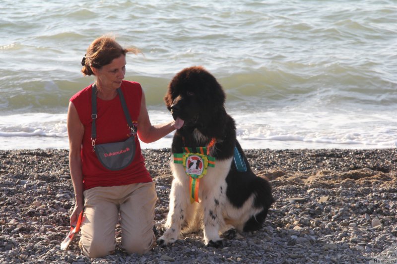 Фотография № 193947