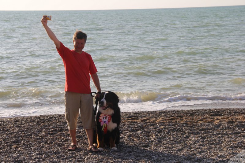 Фотография № 193948