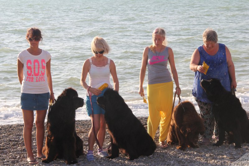 Фотография № 193950