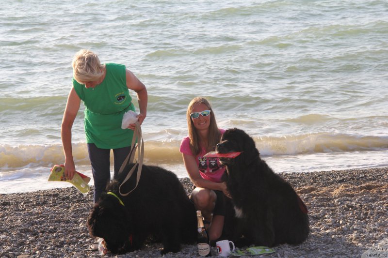 Фотография № 193951