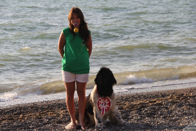 Фотография № 193956