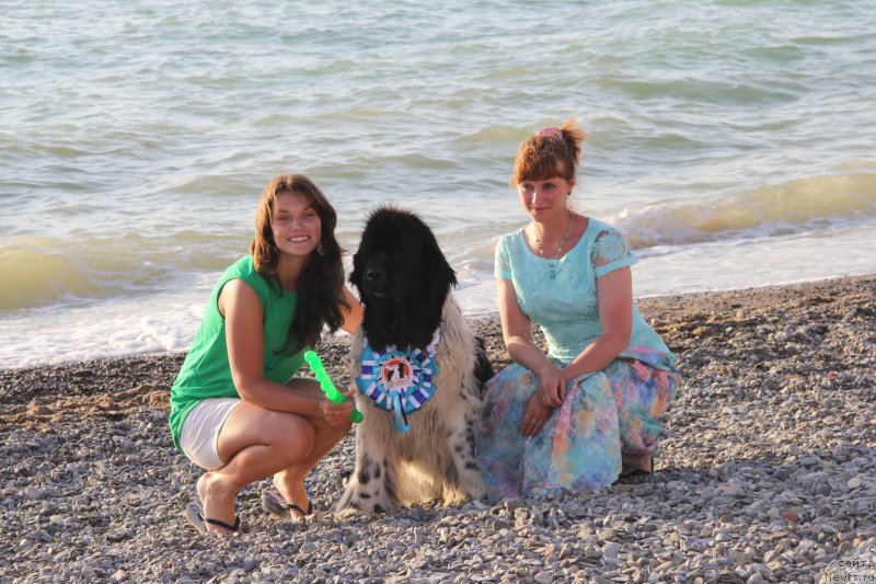 Фотография № 193959