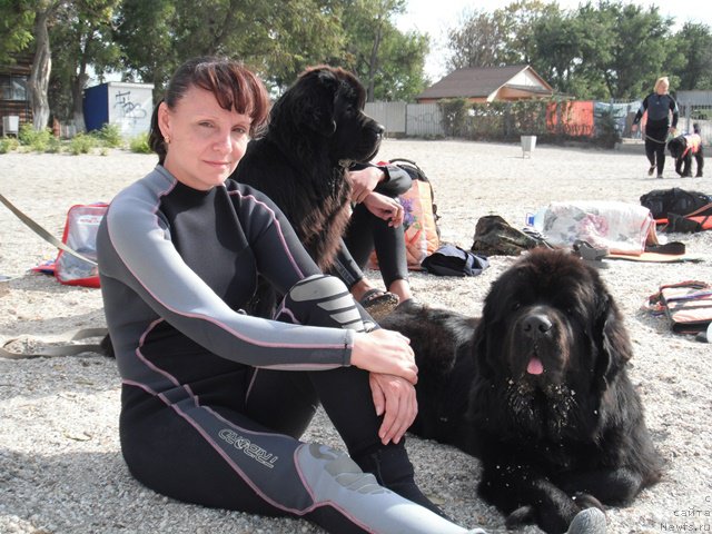 Фотография № 193970