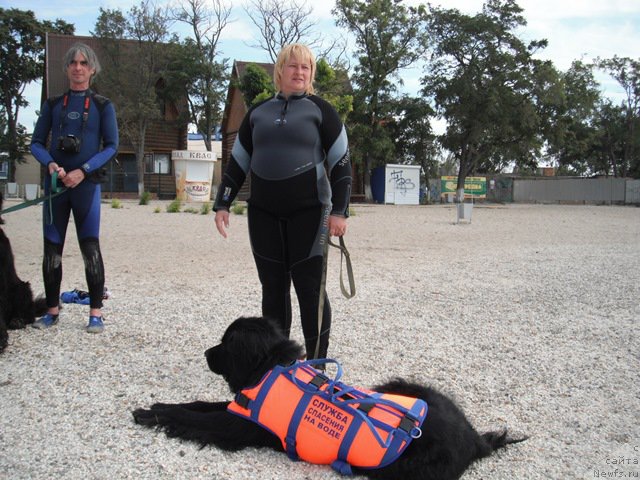 Фотография № 193973