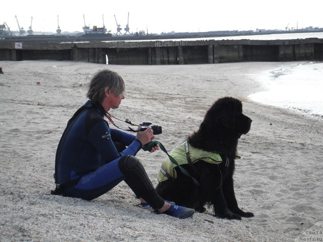 Фотография № 193977