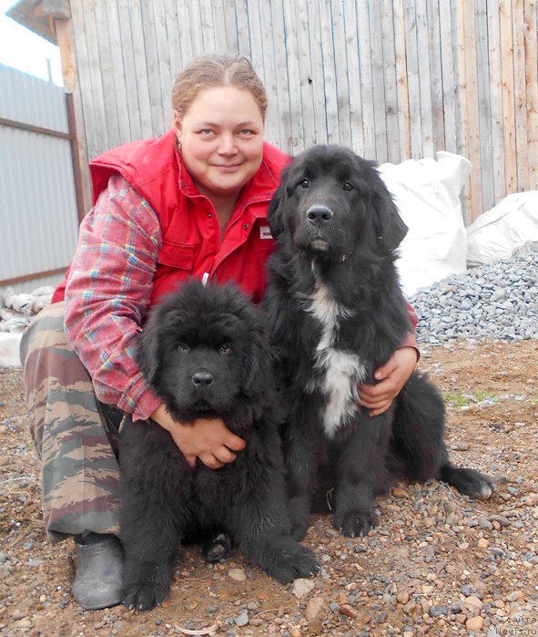 Фотография № 193979