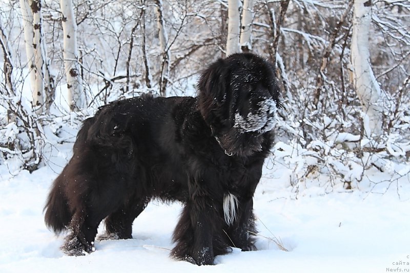 Фотография № 193988