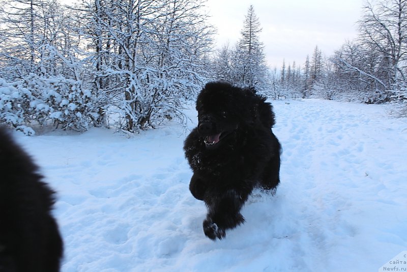 Фотография № 193991