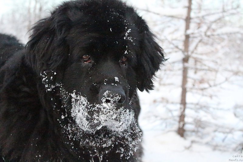 Фотография № 194011