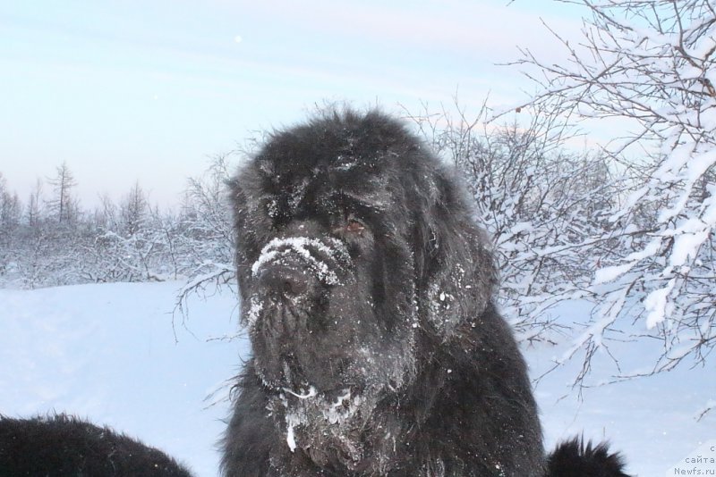 Фотография № 194017