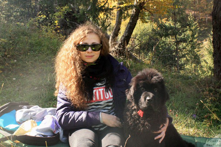 Фотография № 194026