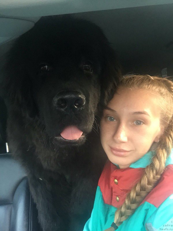 Фотография № 194048