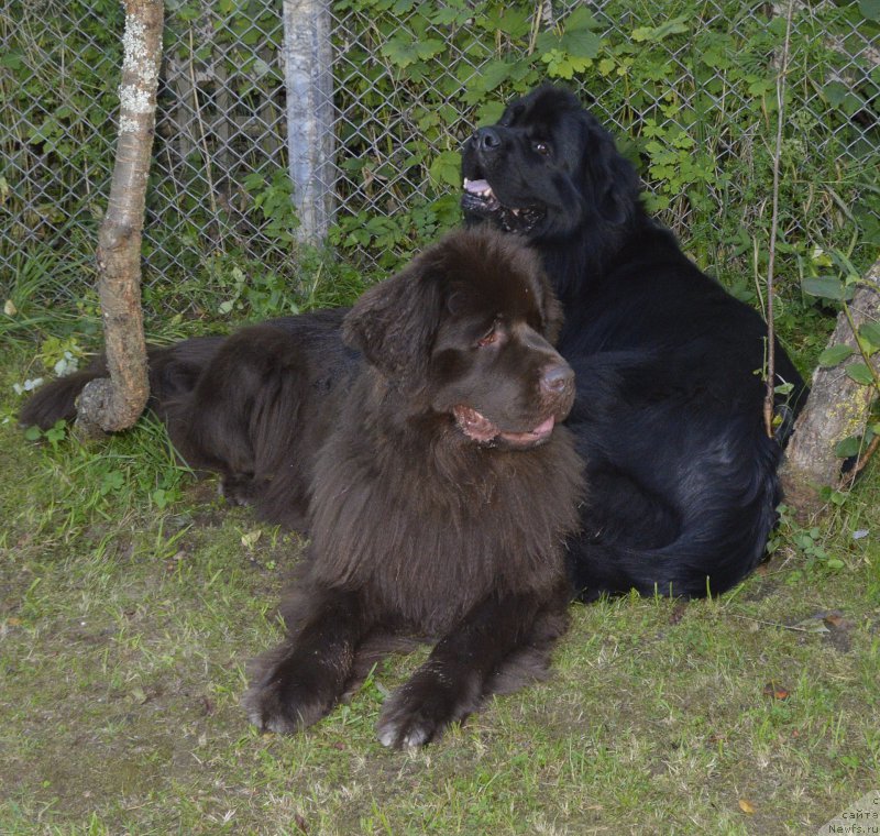 Фотография № 194053