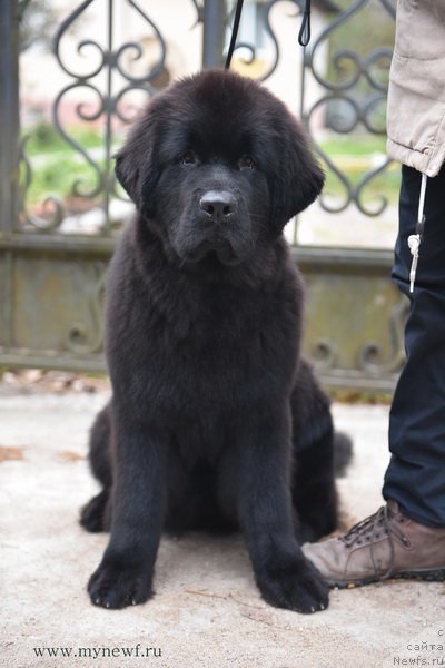 Фотография № 194111