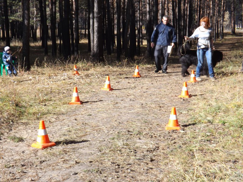 Фотография № 194114