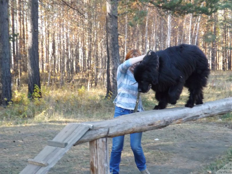 Фотография № 194115