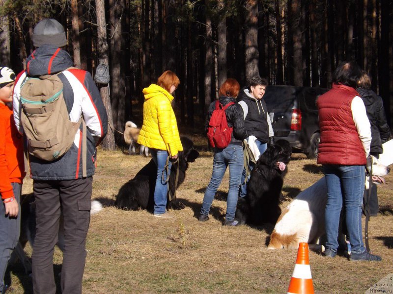 Фотография № 194134