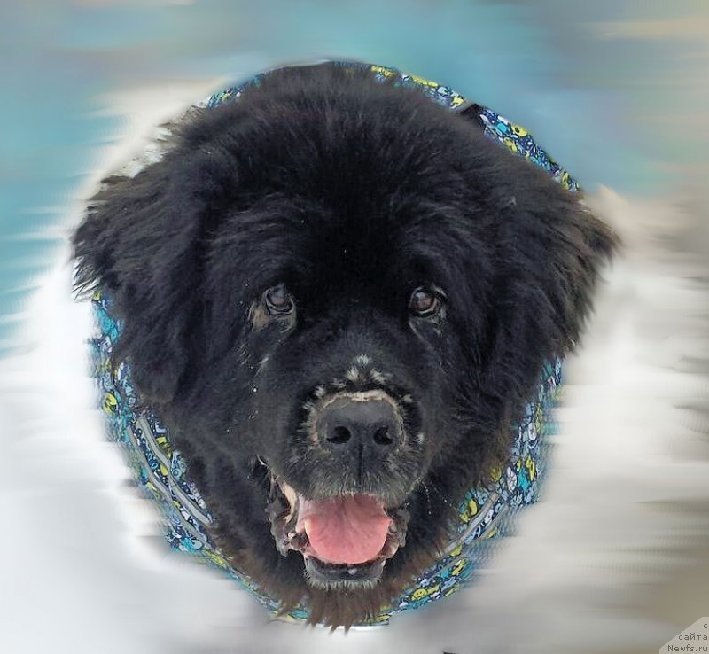 Фотография № 194136