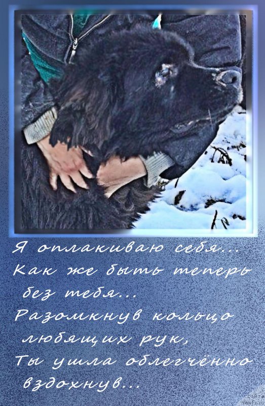 Фотография № 194137