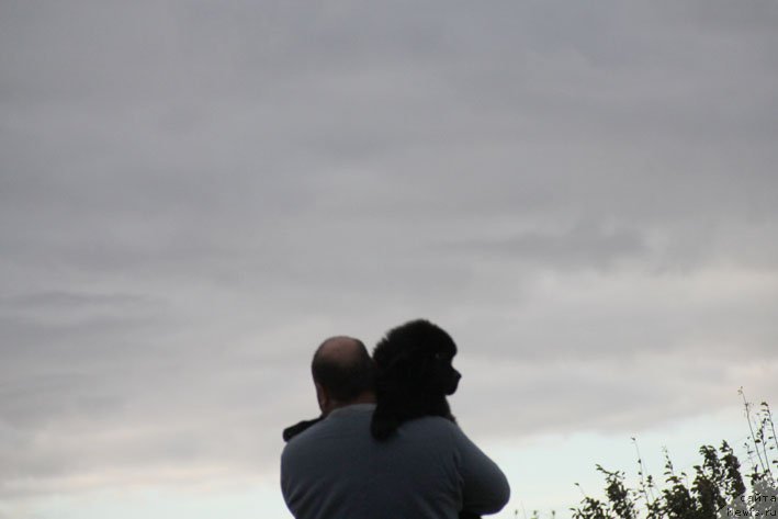 Фото: ньюфаундленд Жерар с Берега Дона (Zherar s Berega Dona), Кирил Ермаков