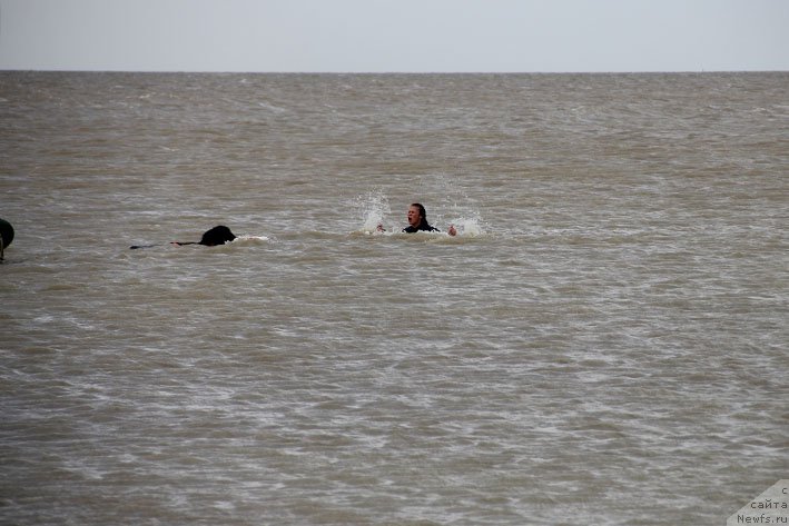 Фотография № 194184