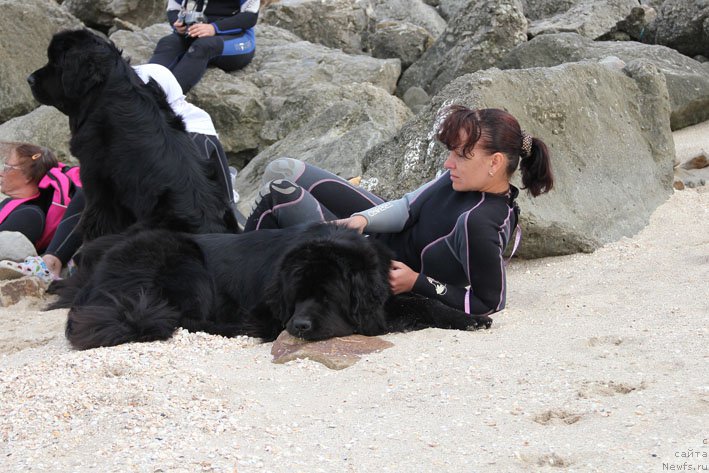 Фотография № 194190