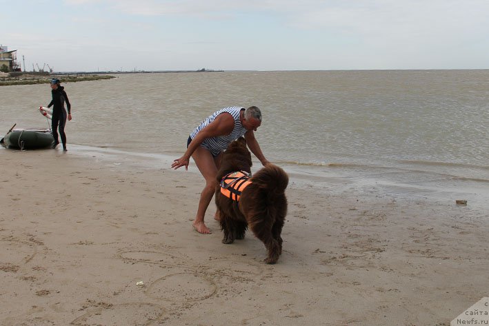 Фотография № 194191