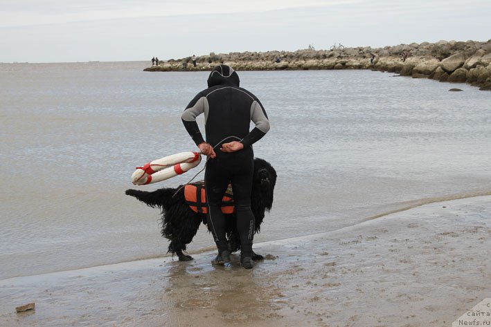 Фотография № 194197