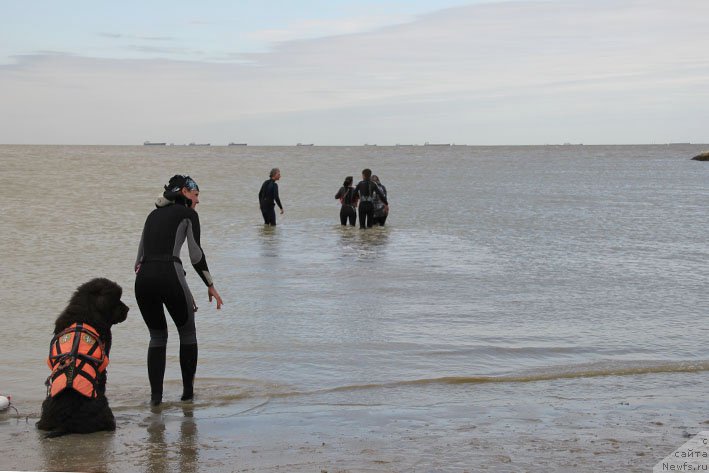 Фотография № 194199