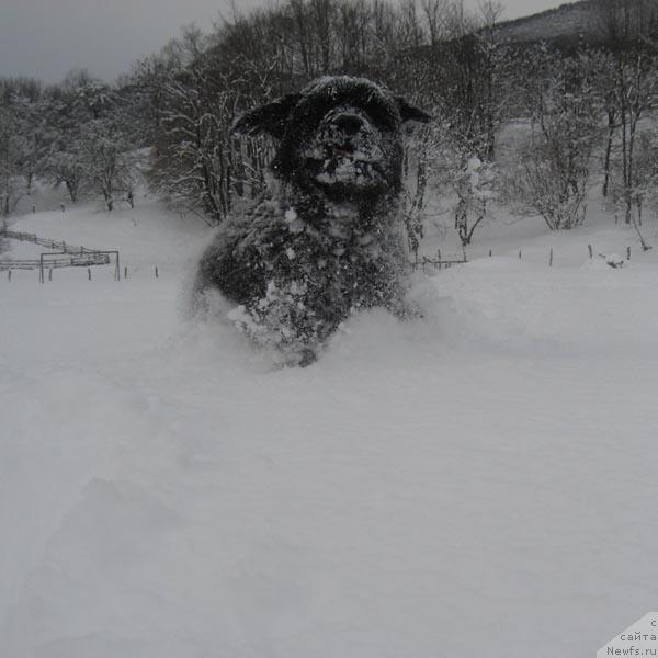 Фотография № 19424