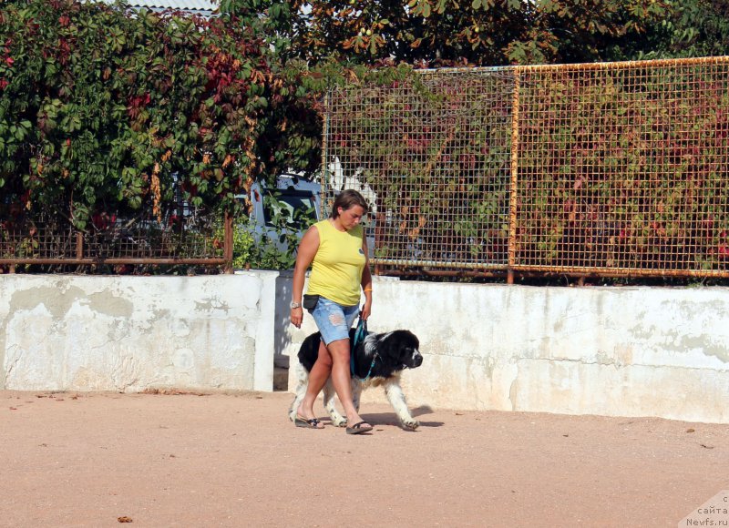 Фотография № 194243