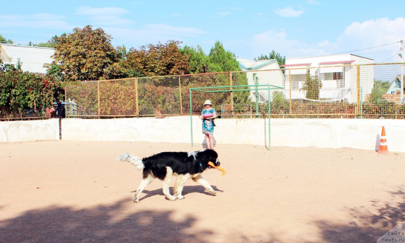 Фотография № 194245