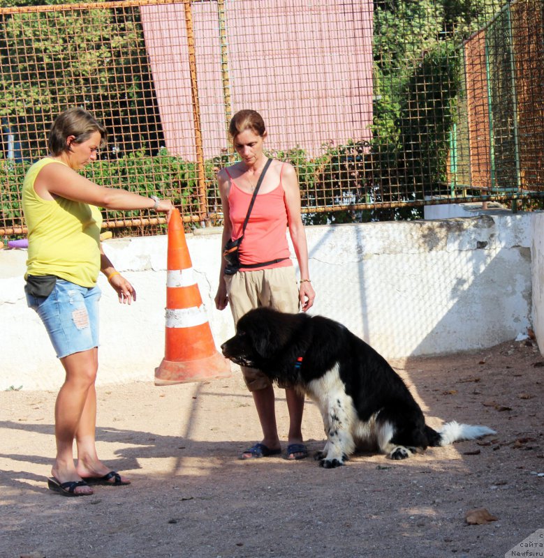 Фотография № 194254