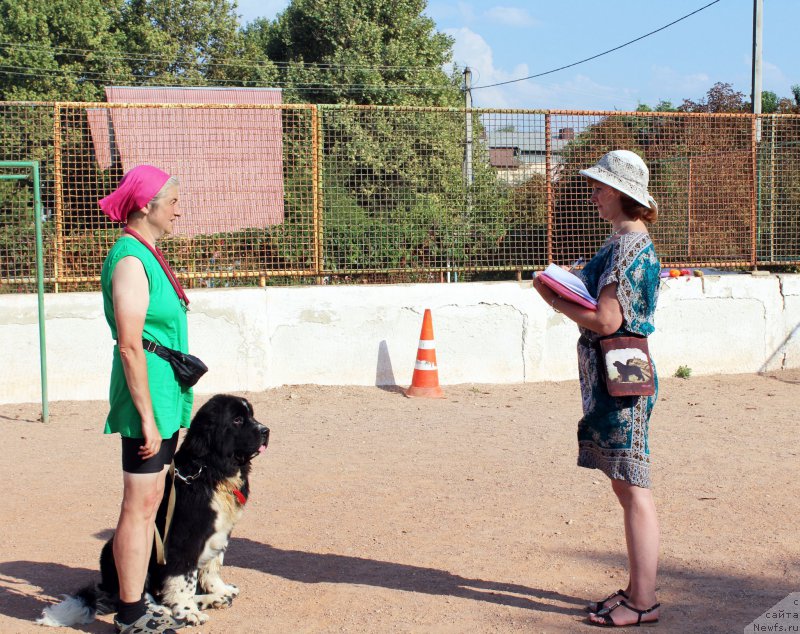 Фотография № 194255